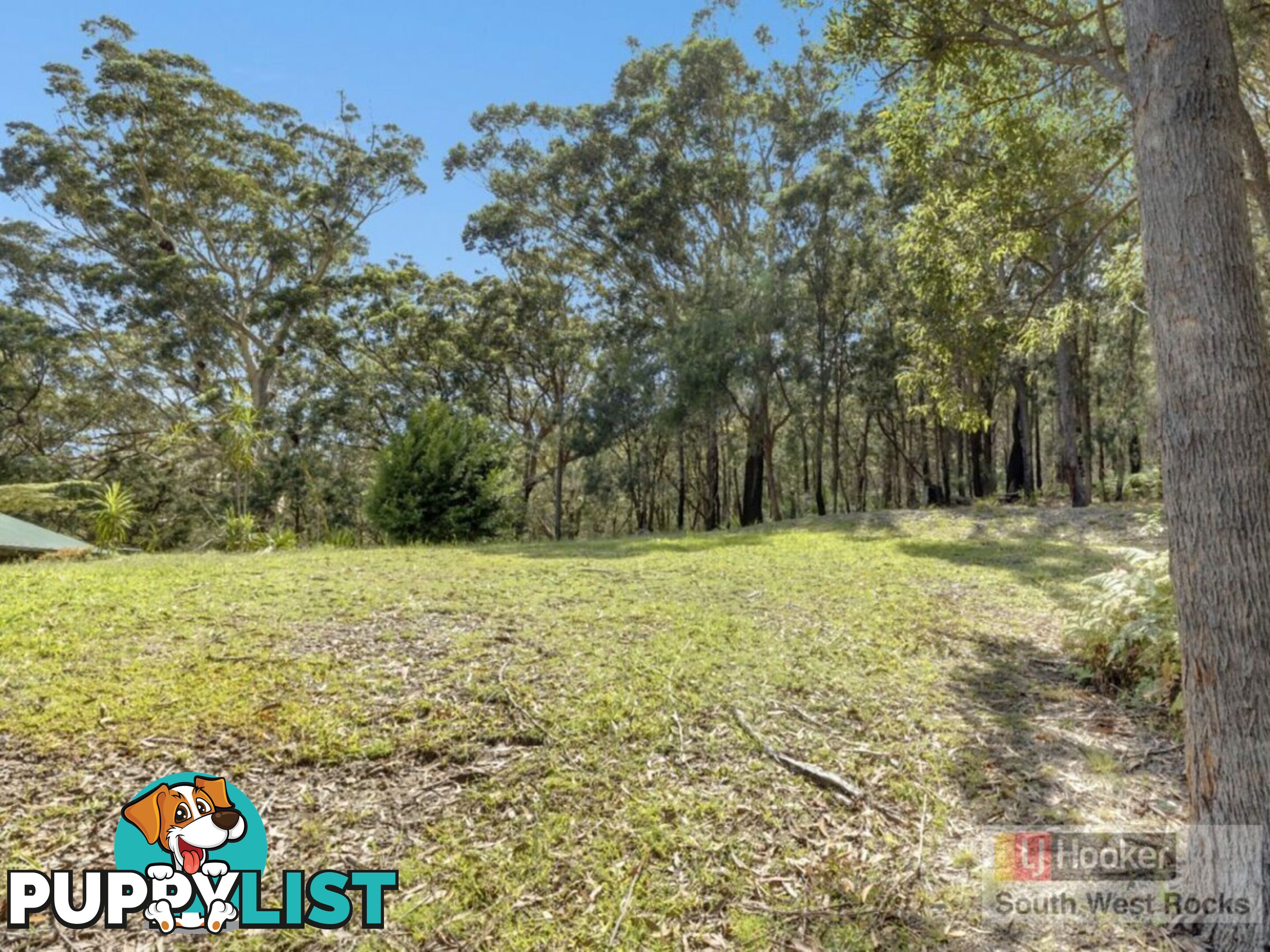 47 Fern Tree Close ARAKOON NSW 2431