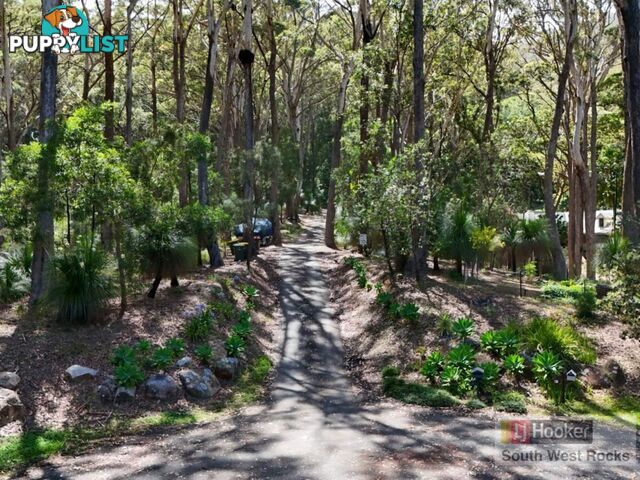 47 Fern Tree Close ARAKOON NSW 2431