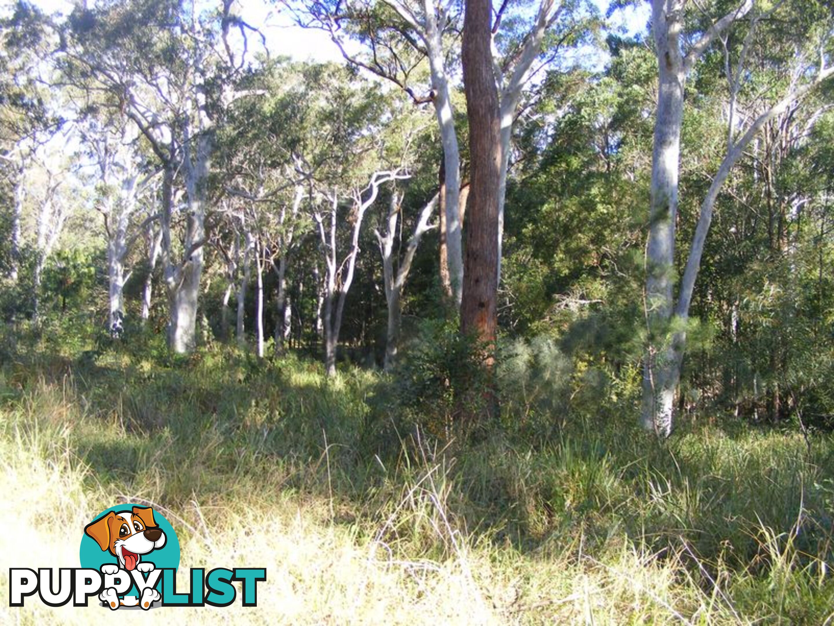 Lot 5 Gap Beach Road ARAKOON NSW 2431