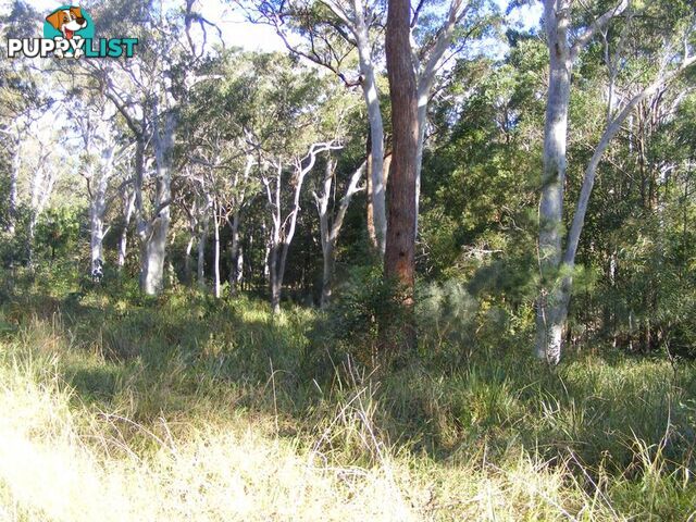 Lot 5 Gap Beach Road ARAKOON NSW 2431