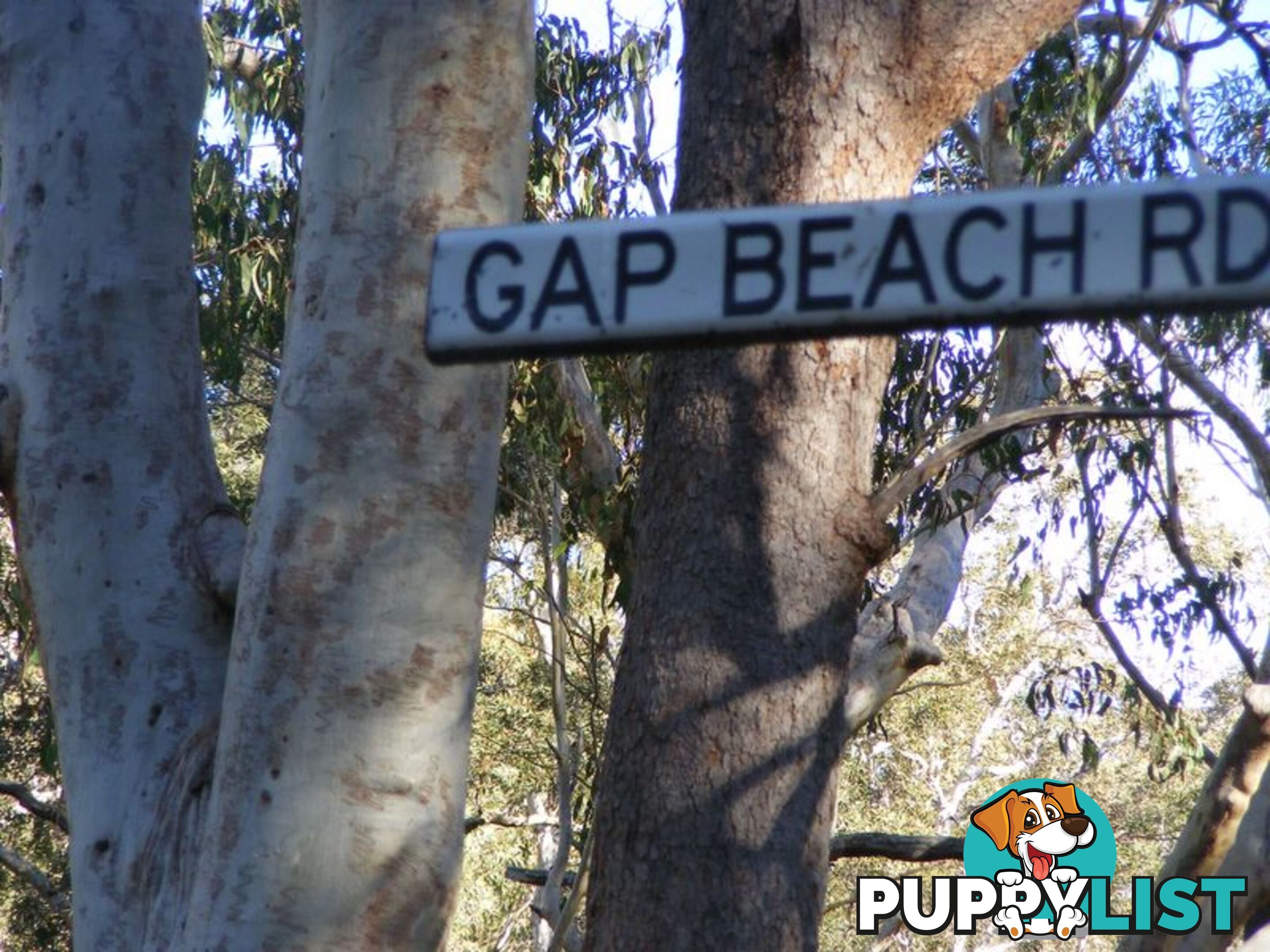 Lot 5 Gap Beach Road ARAKOON NSW 2431