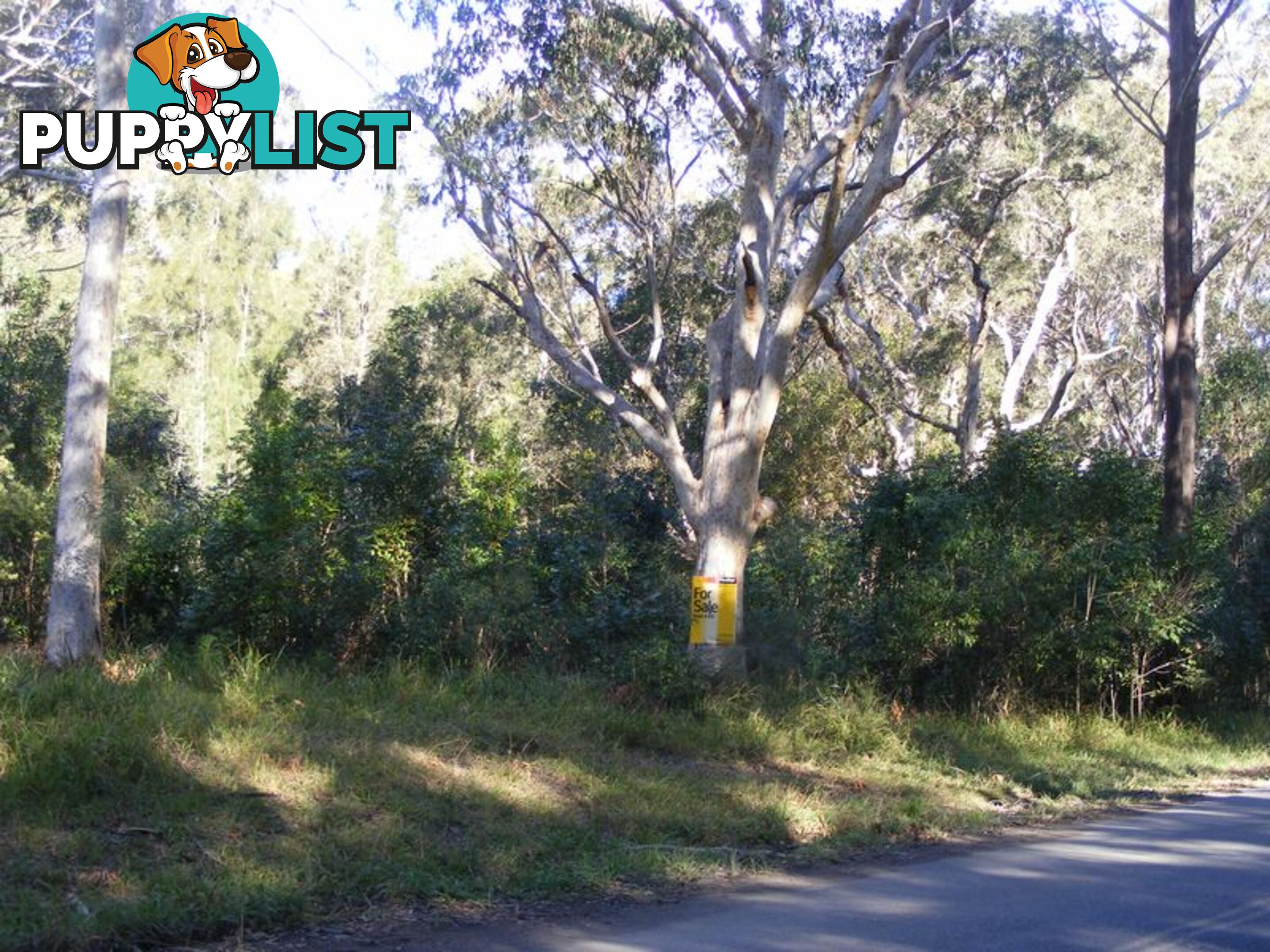 Lot 5 Gap Beach Road ARAKOON NSW 2431