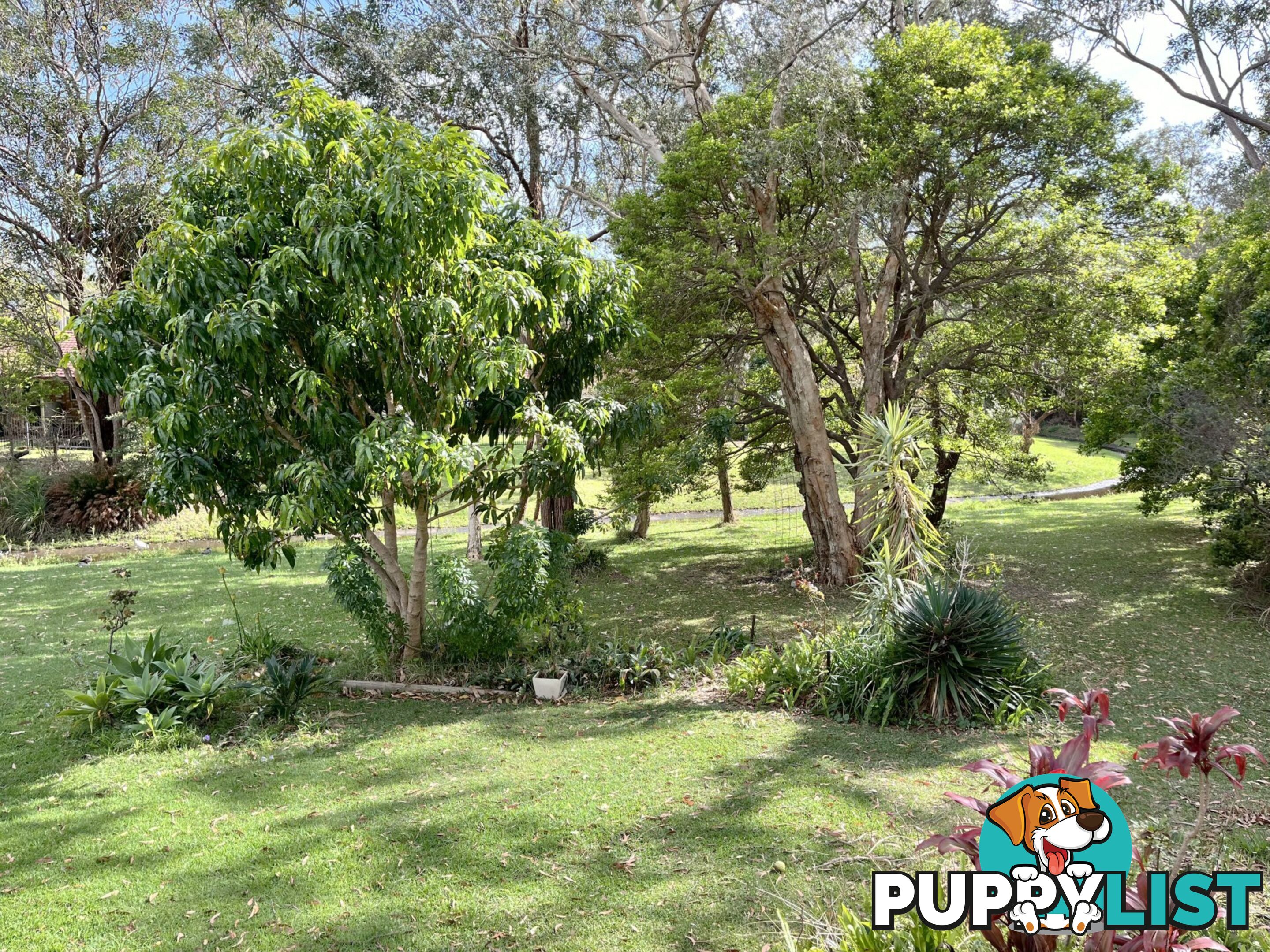 Lot 16/79 Gregory Street SOUTH WEST ROCKS NSW 2431