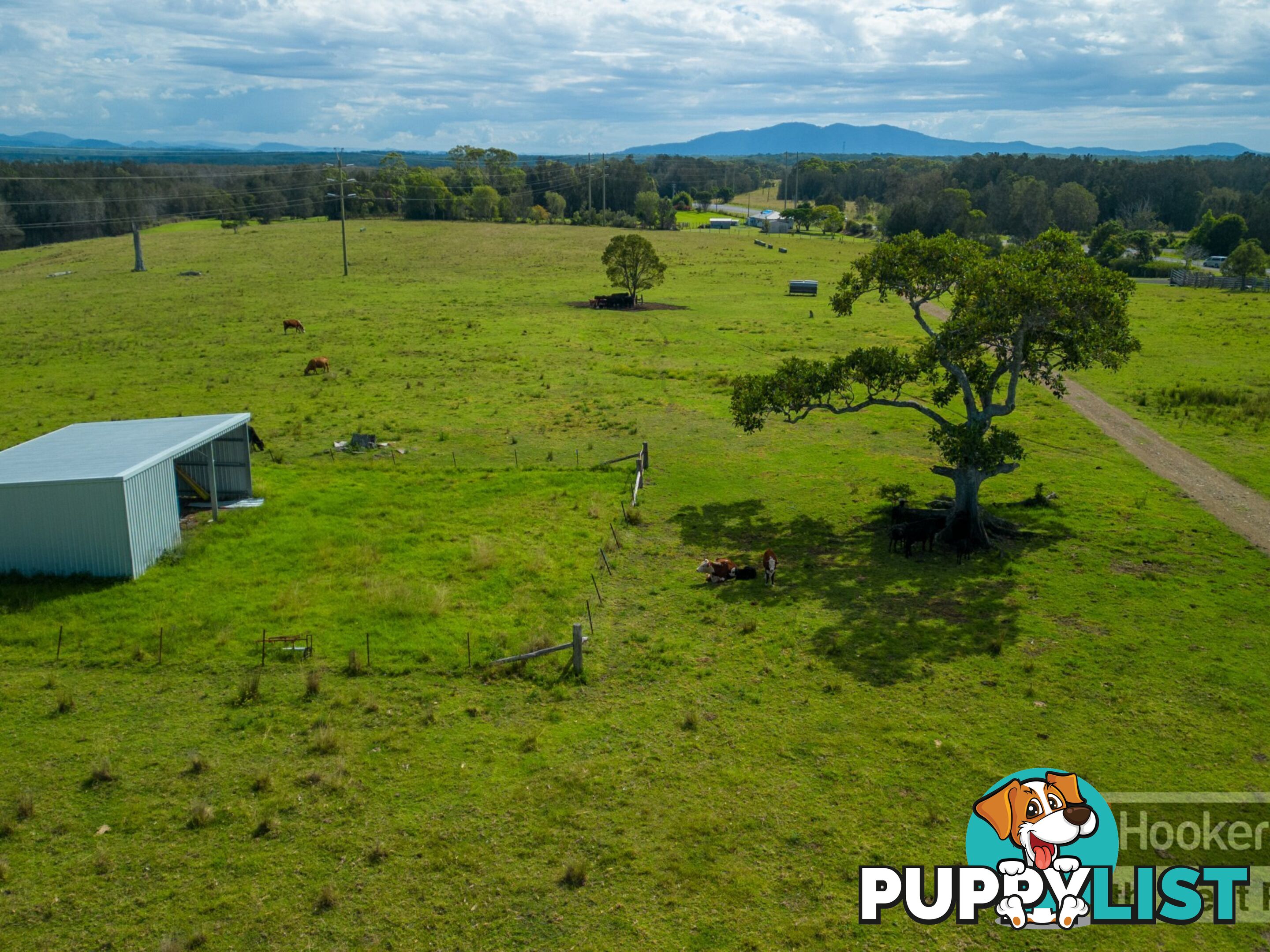 2149 Macleay Valley Way CLYBUCCA NSW 2440