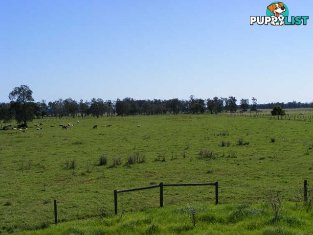 Lot 2 Summer Island Road SMITHTOWN NSW 2440