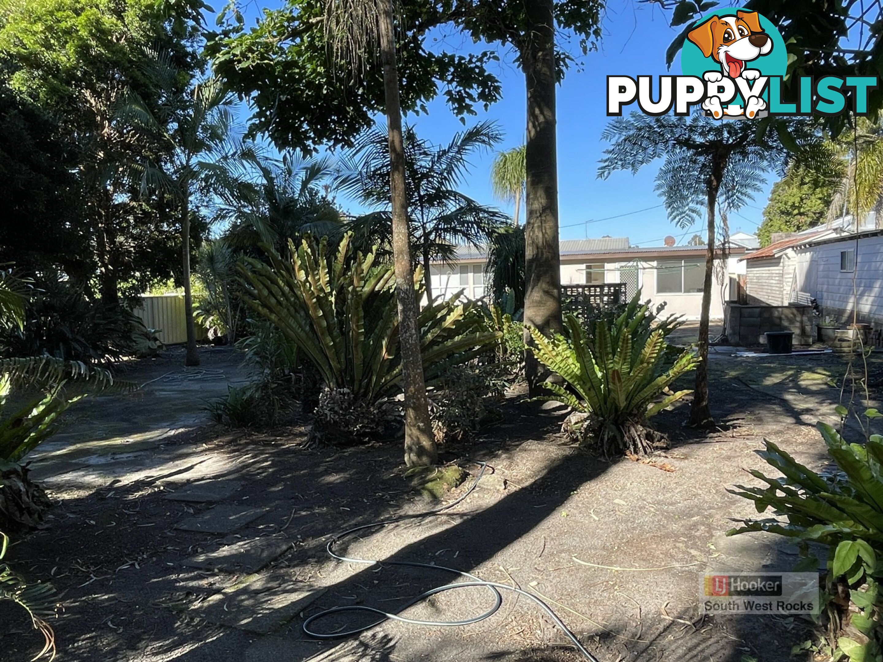 3 Austin Street SOUTH WEST ROCKS NSW 2431