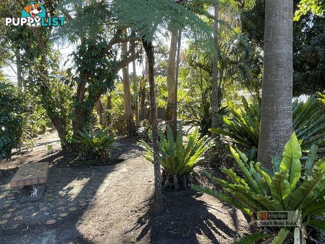 3 Austin Street SOUTH WEST ROCKS NSW 2431
