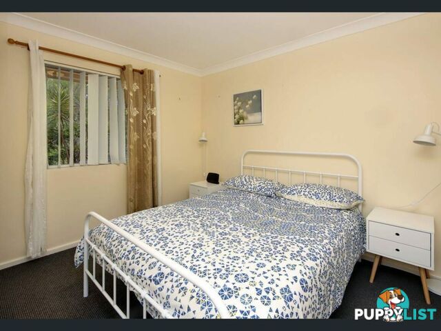 1/55 Landsborough Street SOUTH WEST ROCKS NSW 2431