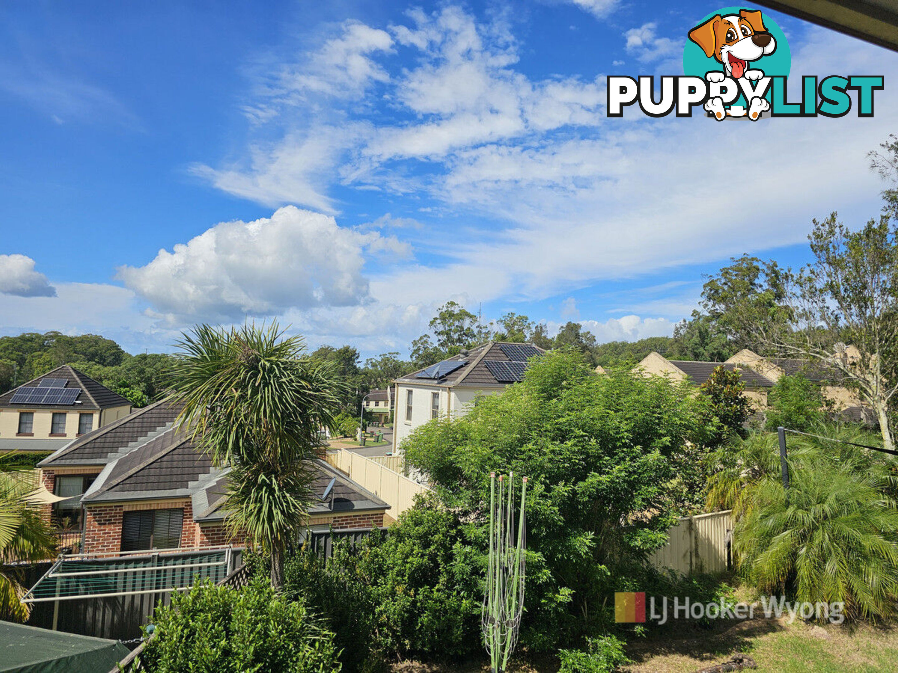 172 Woodbury Park Drive MARDI NSW 2259
