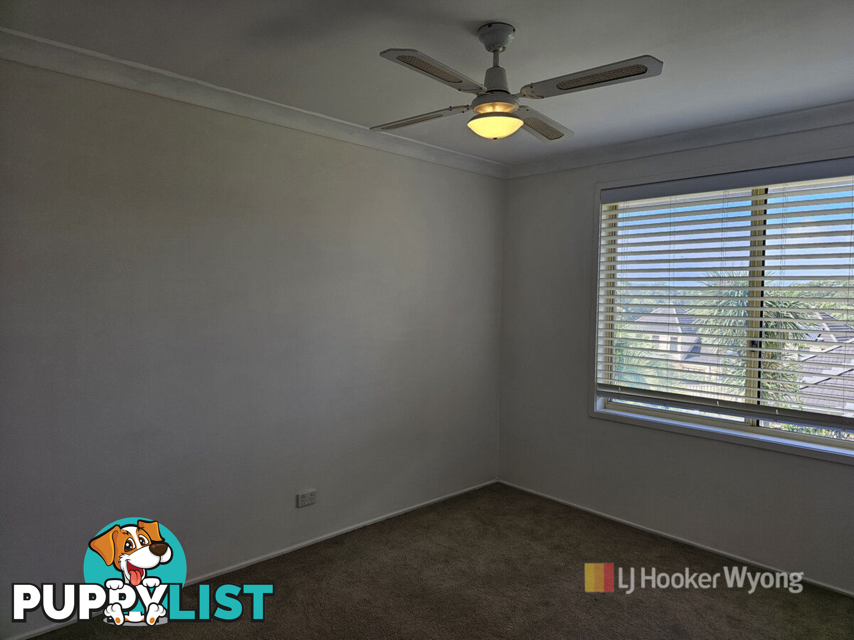 172 Woodbury Park Drive MARDI NSW 2259