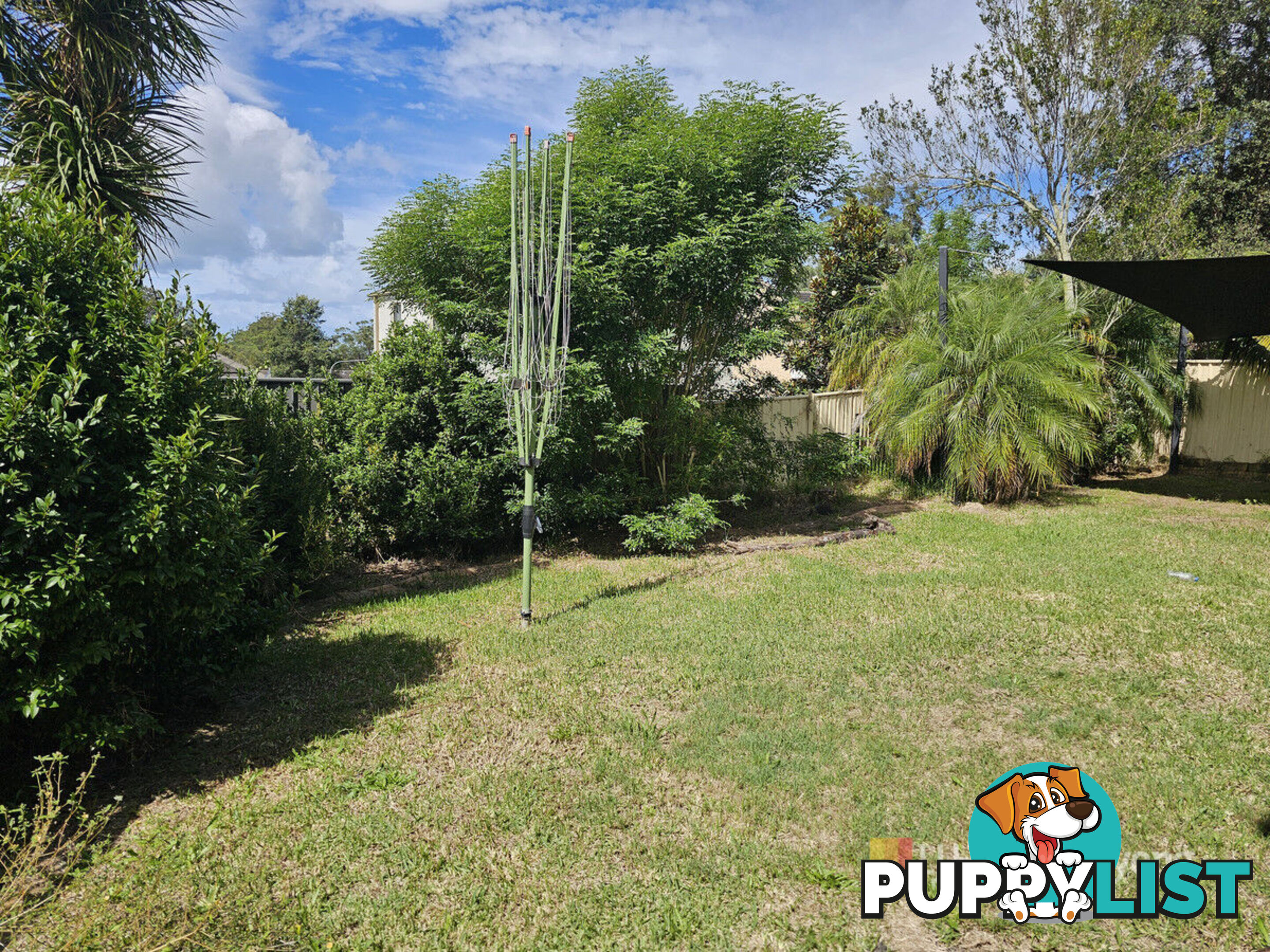 172 Woodbury Park Drive MARDI NSW 2259