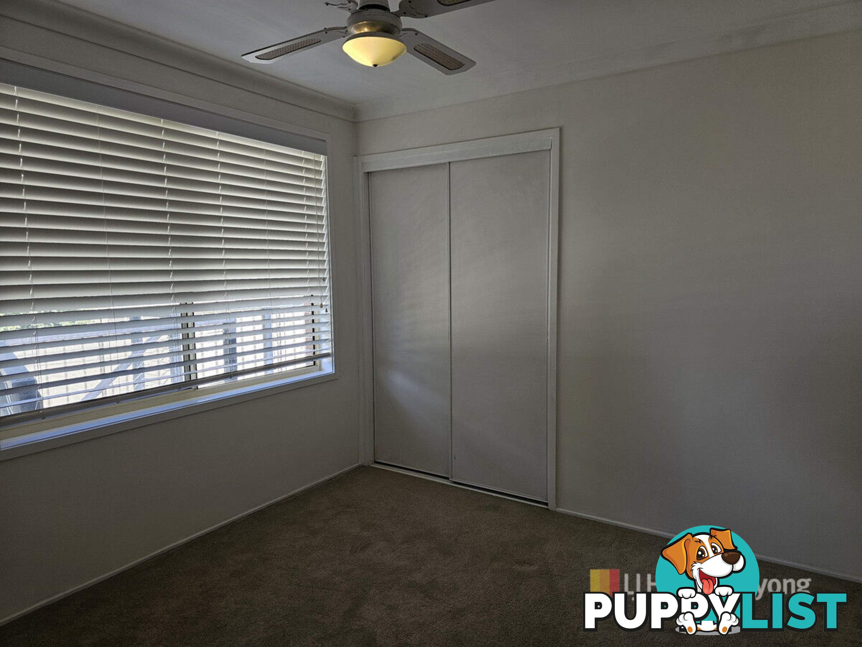 172 Woodbury Park Drive MARDI NSW 2259