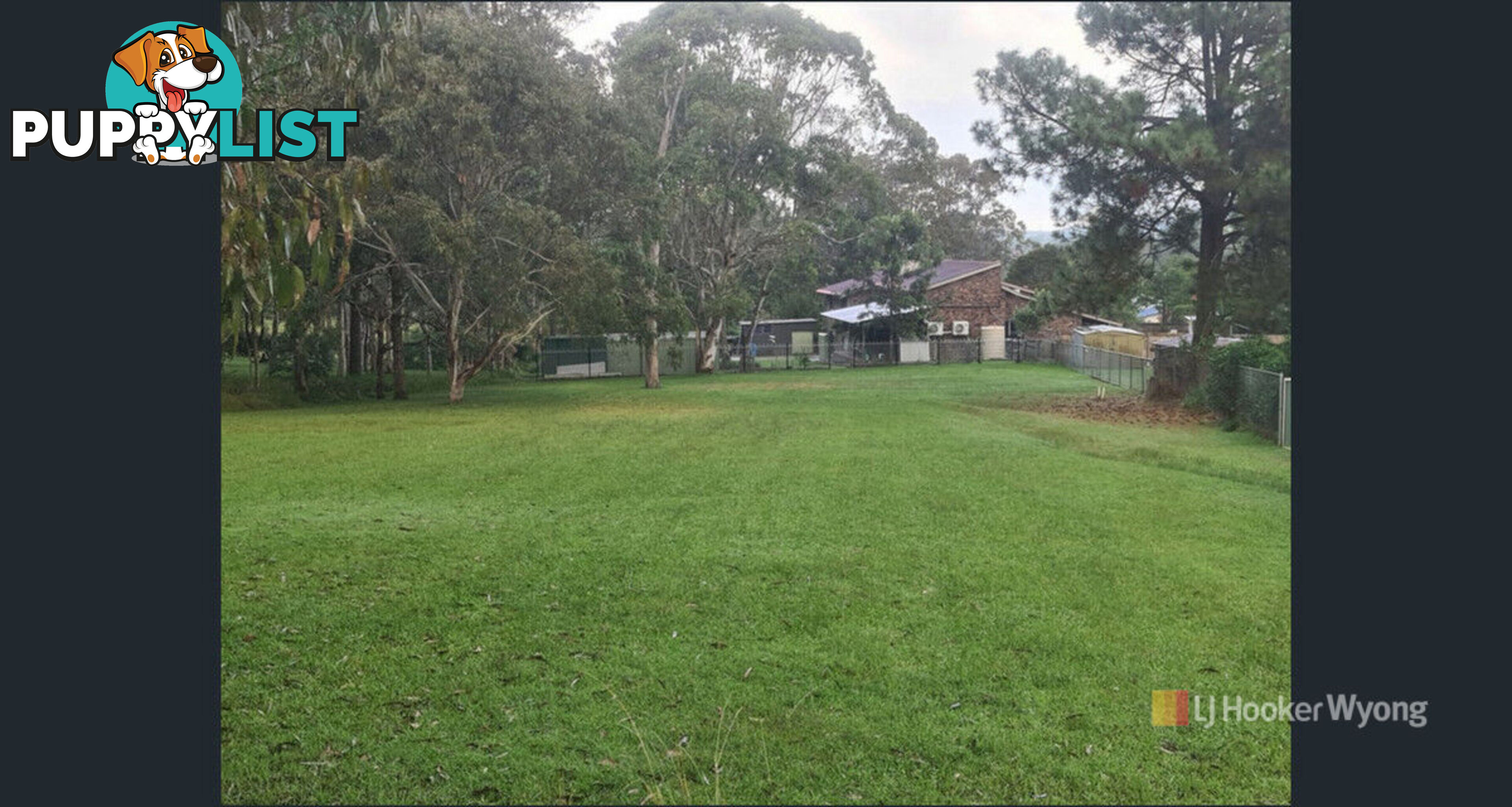 11 Lexington Avenue WADALBA NSW 2259