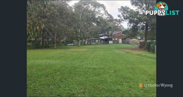 11 Lexington Avenue WADALBA NSW 2259