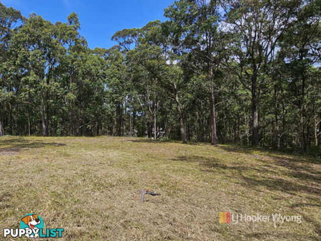 11 Lexington Avenue WADALBA NSW 2259