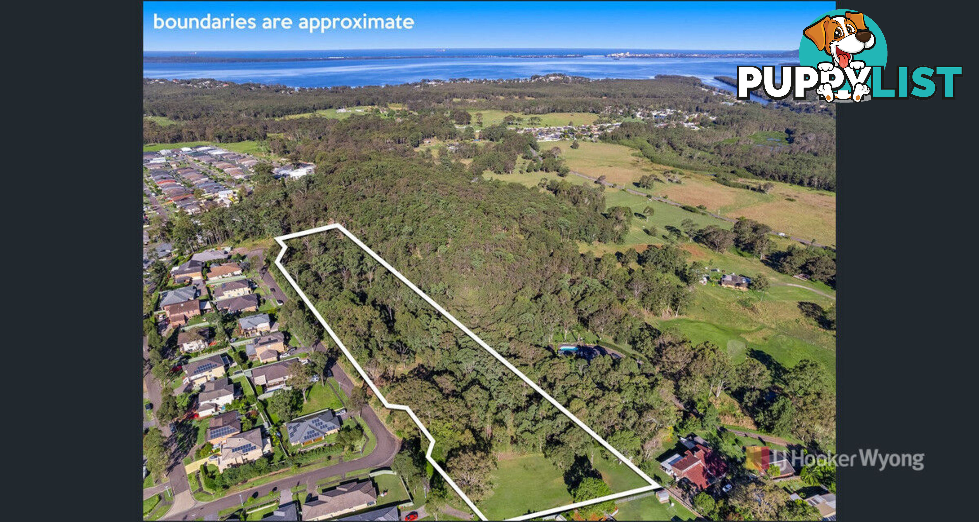 11 Lexington Avenue WADALBA NSW 2259