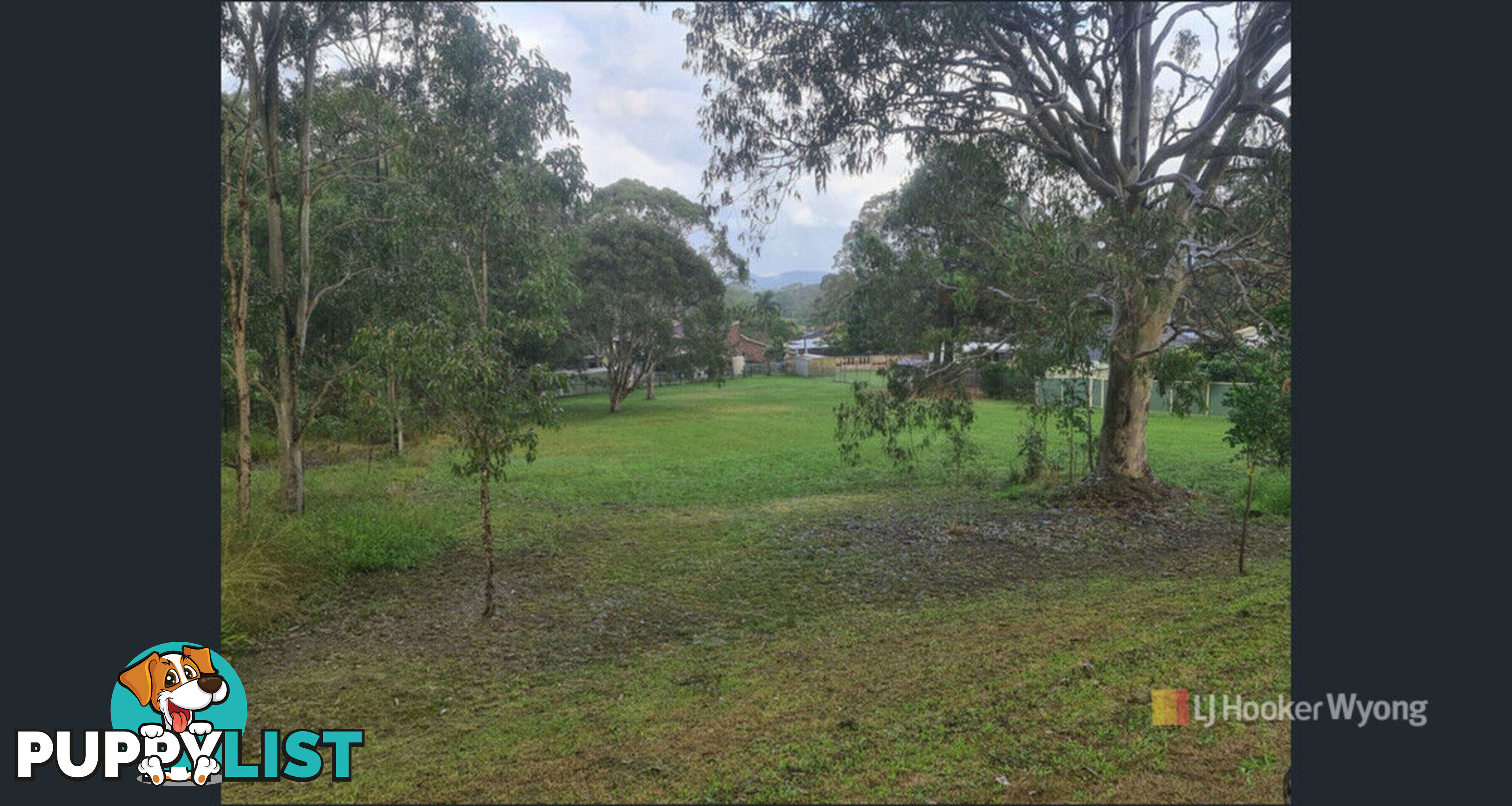 11 Lexington Avenue WADALBA NSW 2259