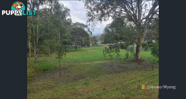 11 Lexington Avenue WADALBA NSW 2259