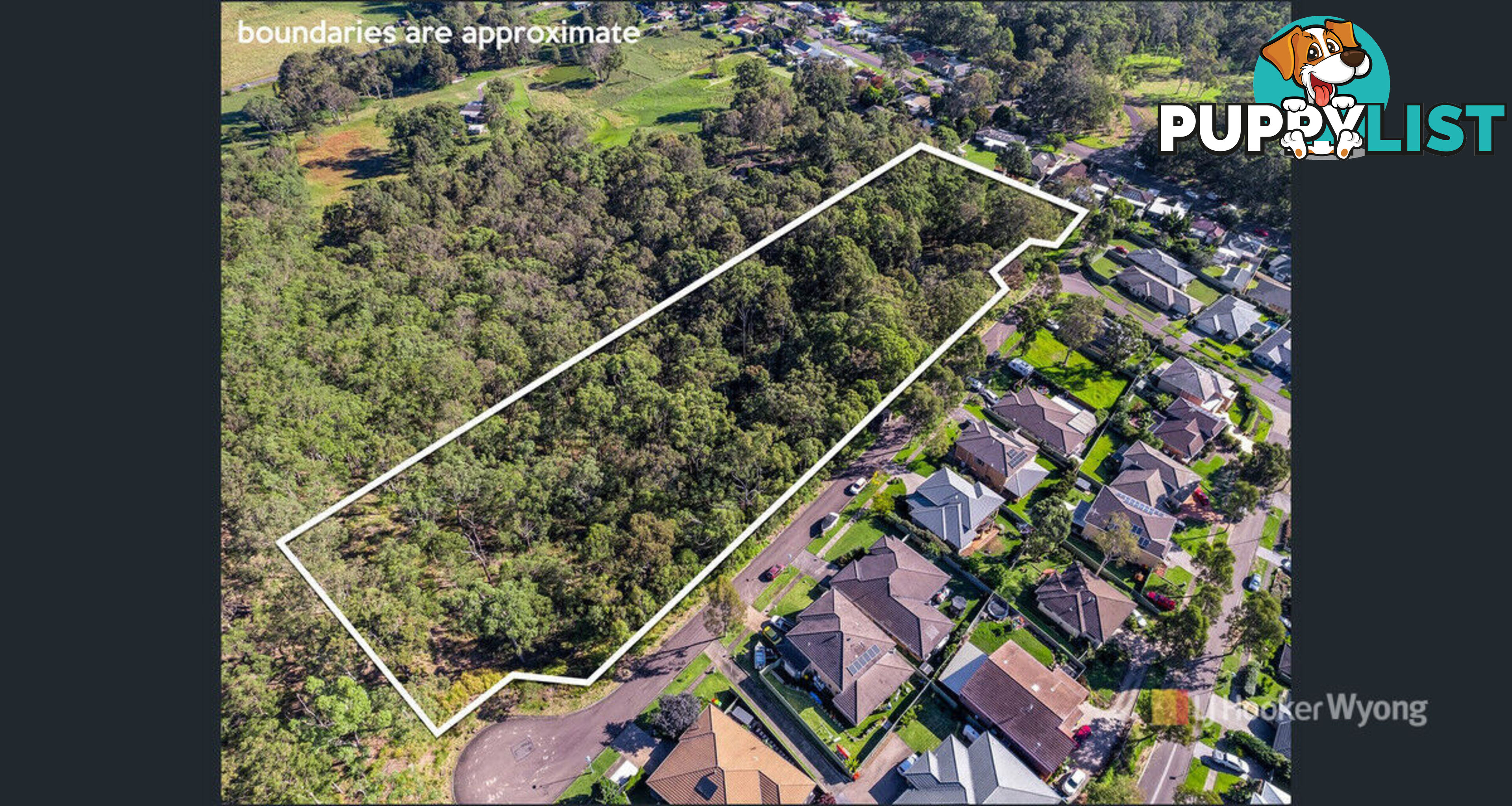 11 Lexington Avenue WADALBA NSW 2259