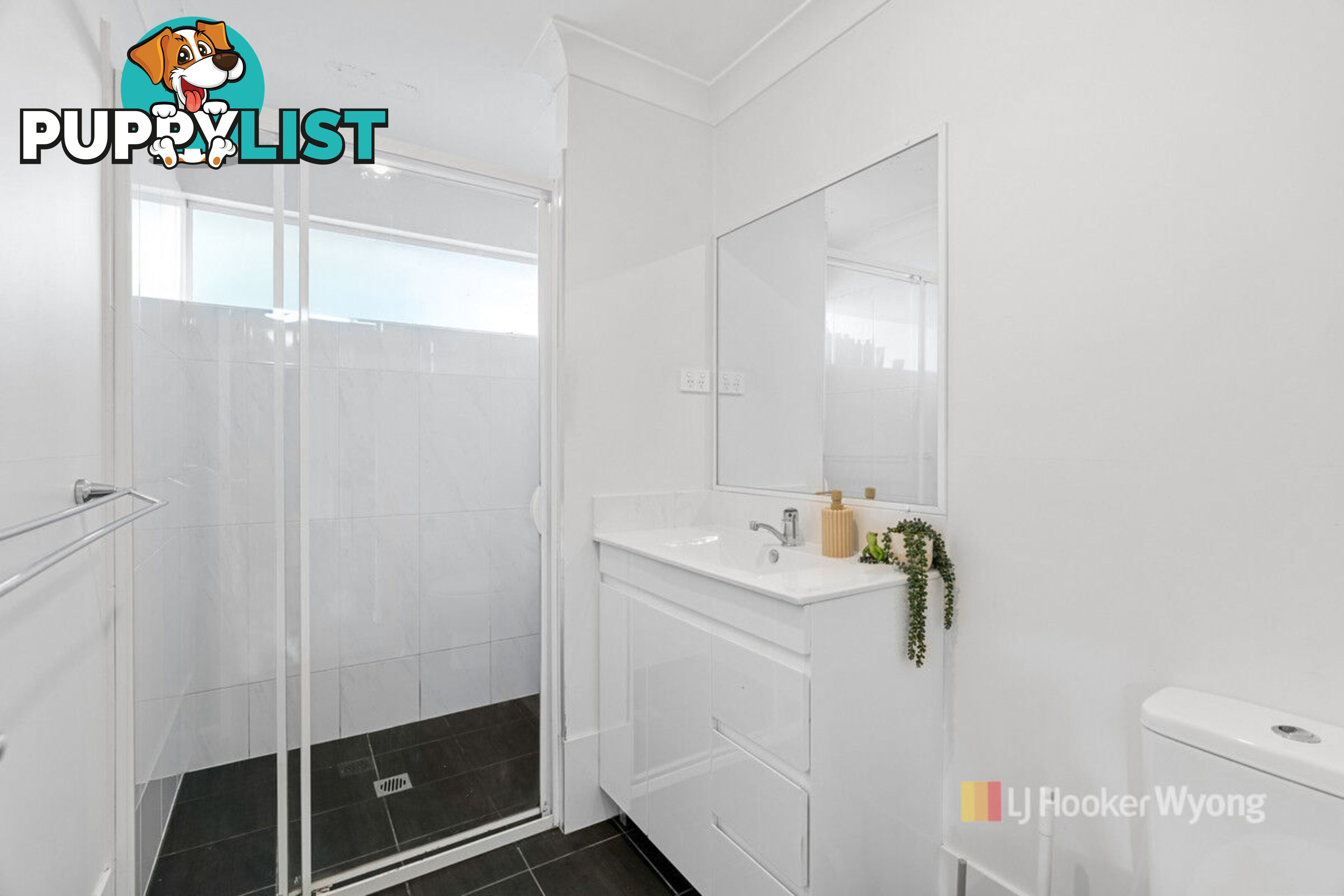 70 Laelana Avenue HALEKULANI NSW 2262