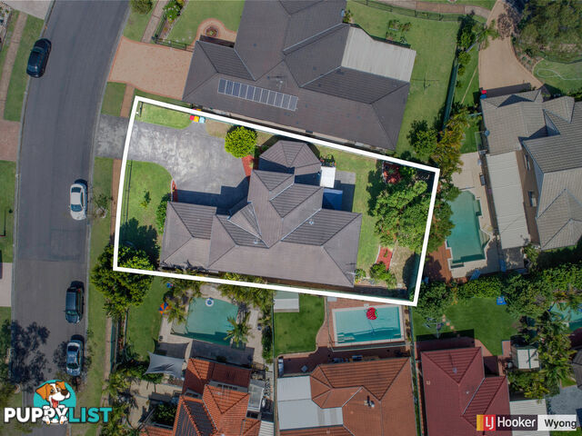 3 Kintyre Road HAMLYN TERRACE NSW 2259