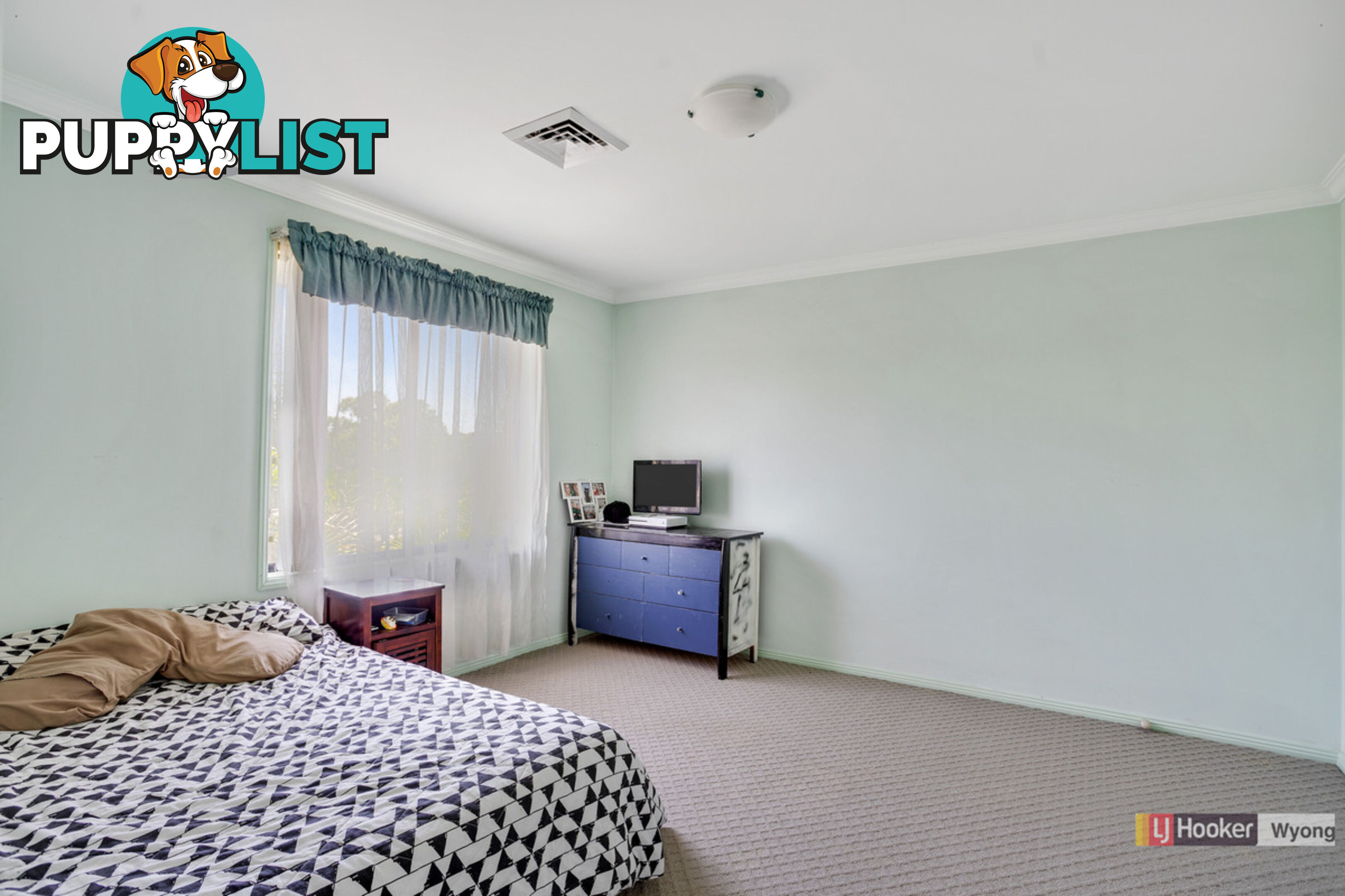 3 Kintyre Road HAMLYN TERRACE NSW 2259