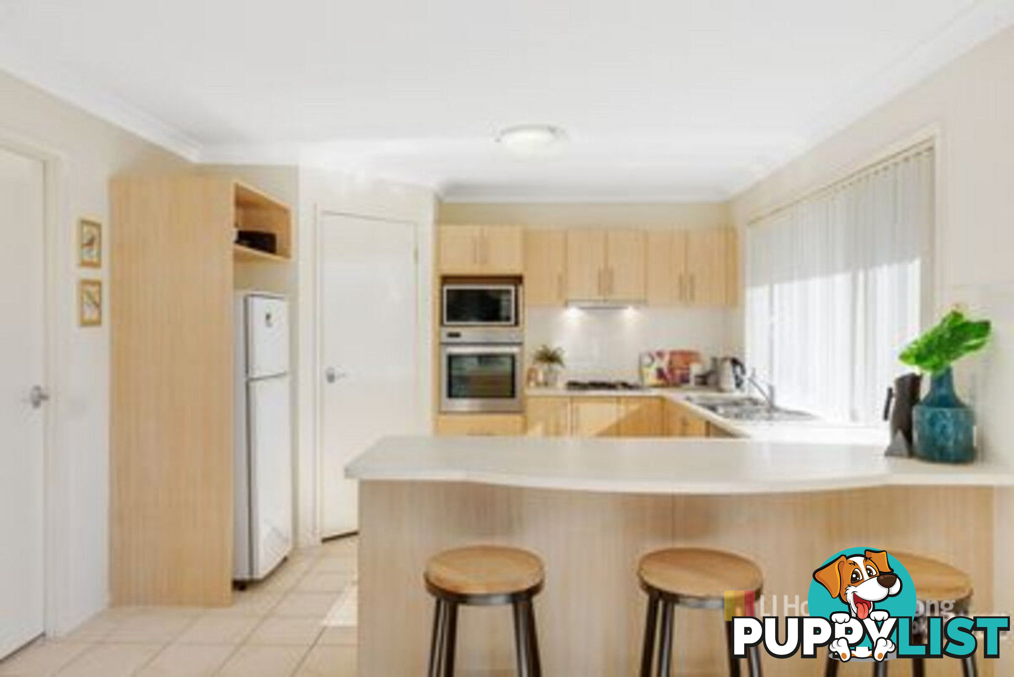 20 Bougainvillea Road West HAMLYN TERRACE NSW 2259