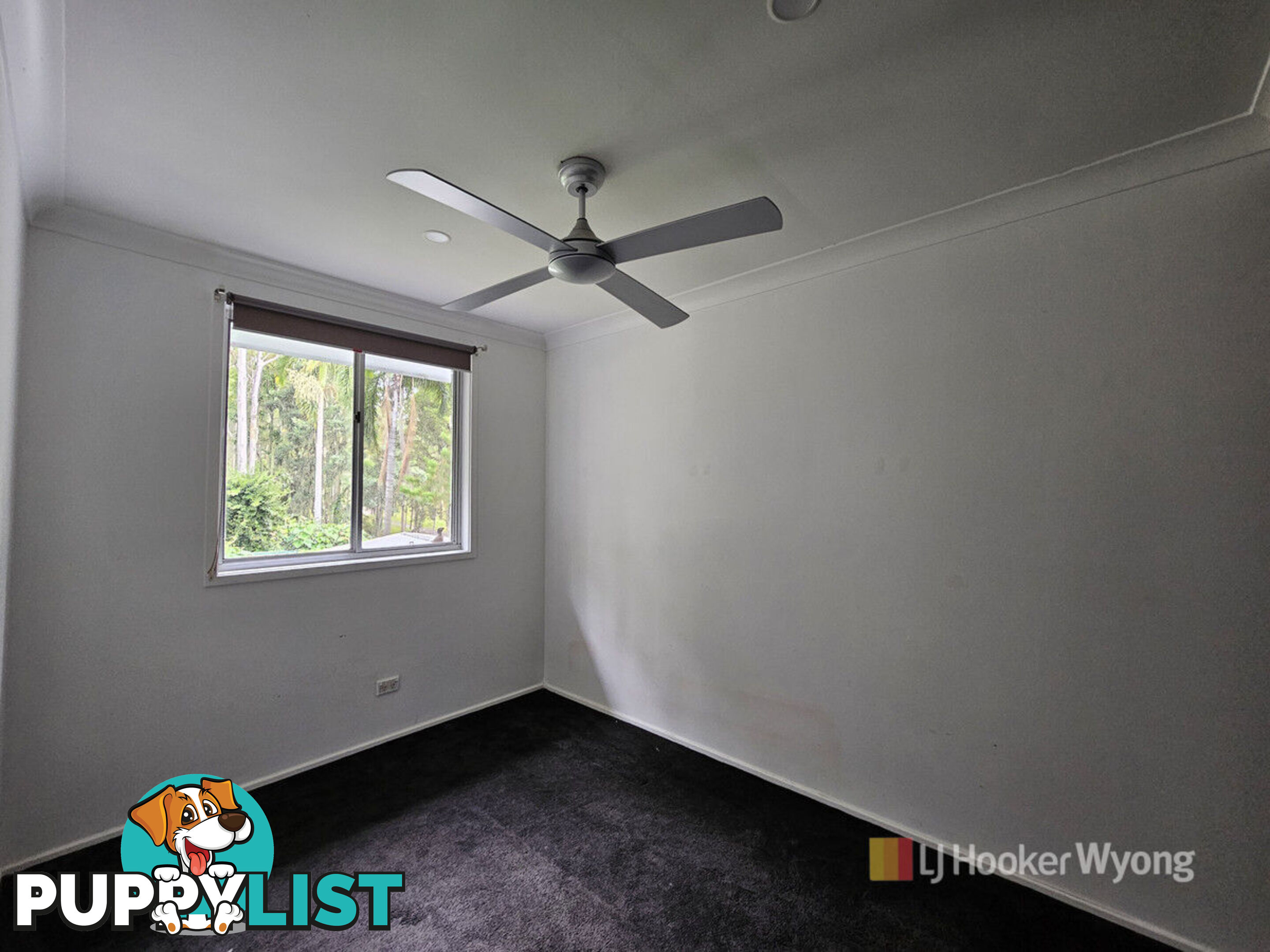 110 Casey Drive WATANOBBI NSW 2259