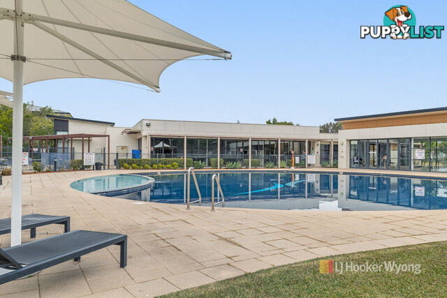 13 Parry Parade WYONG NSW 2259