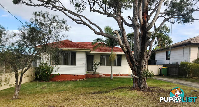 12 Suffolk Street GOROKAN NSW 2263