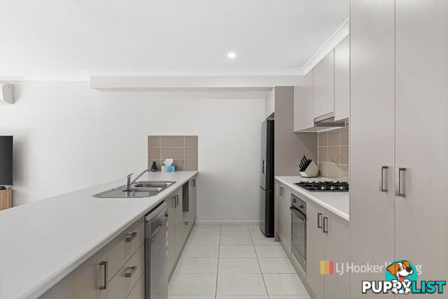 13 Nigella Circuit HAMLYN TERRACE NSW 2259