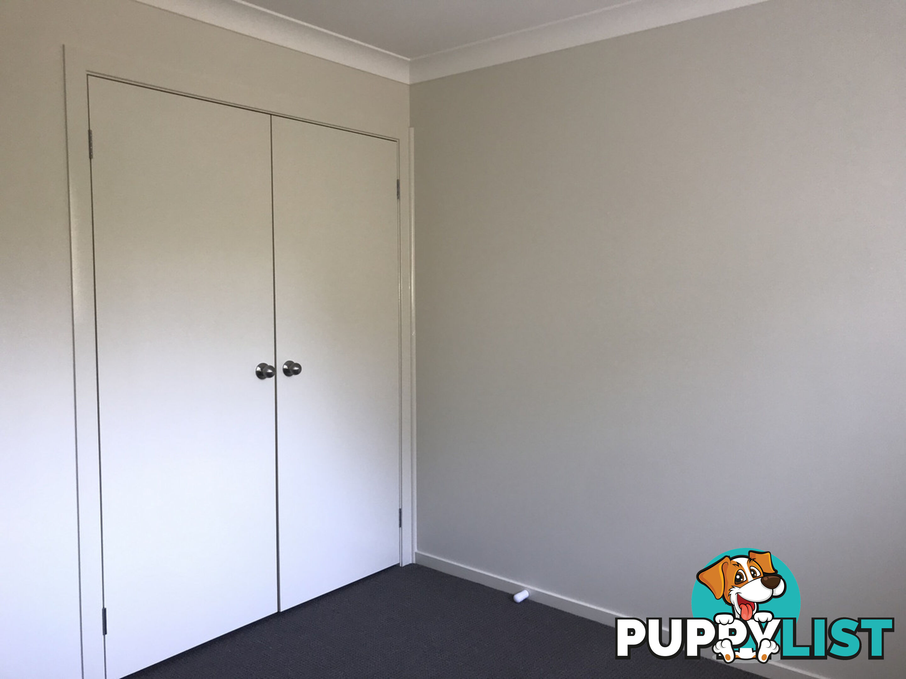 61 Windsorgreen Drive WYONG NSW 2259