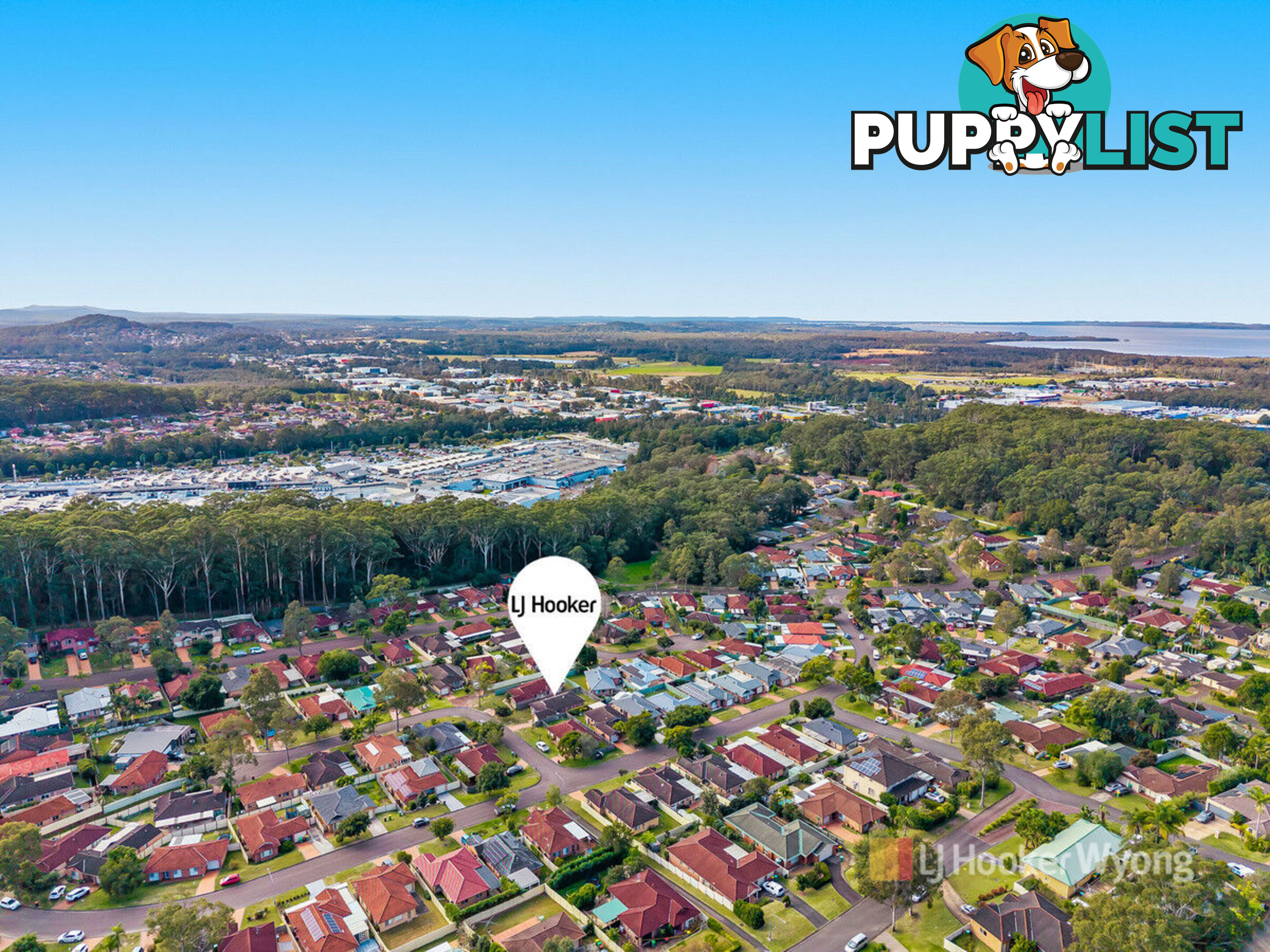 17 Ambrosius Court TUGGERAH NSW 2259