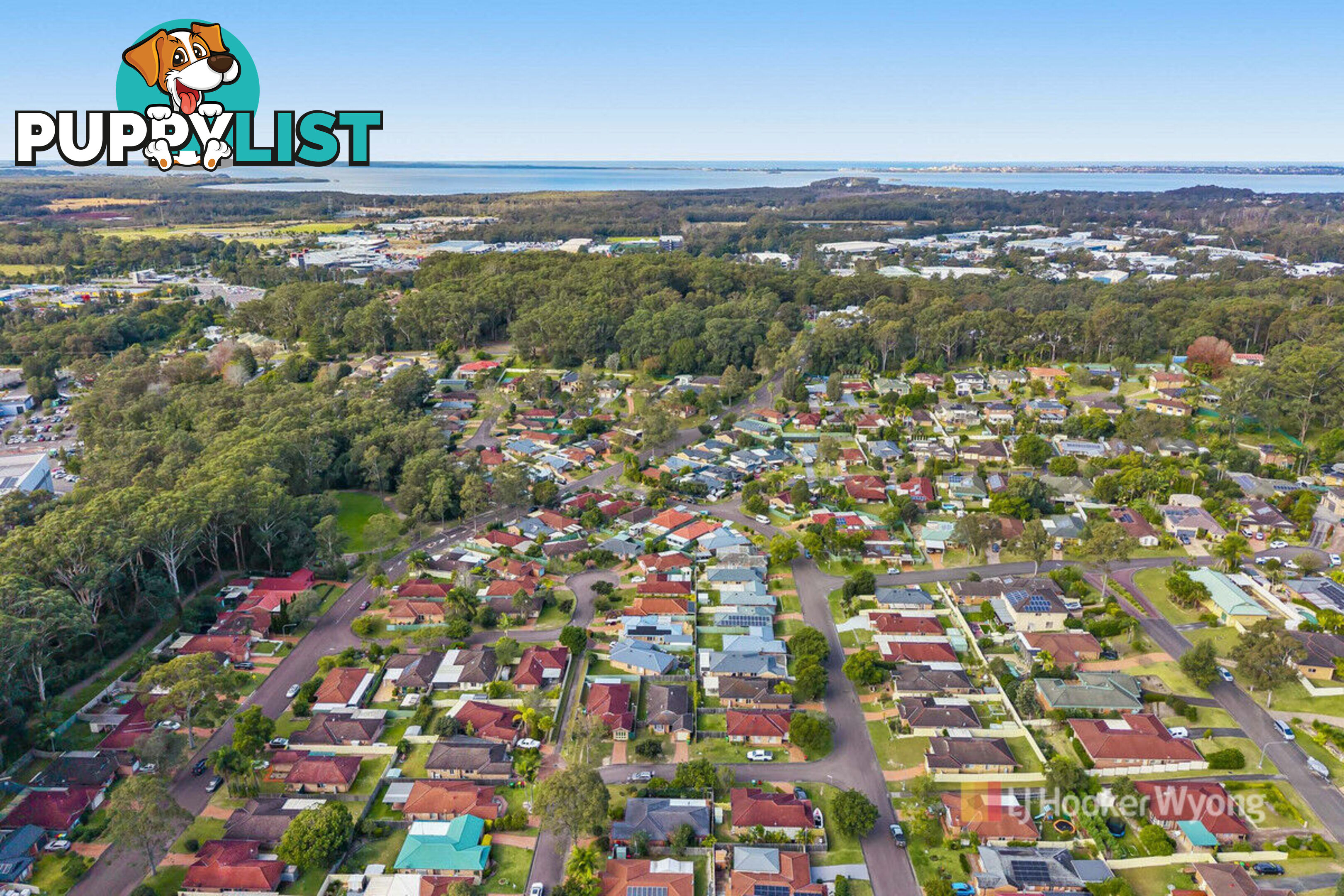 17 Ambrosius Court TUGGERAH NSW 2259