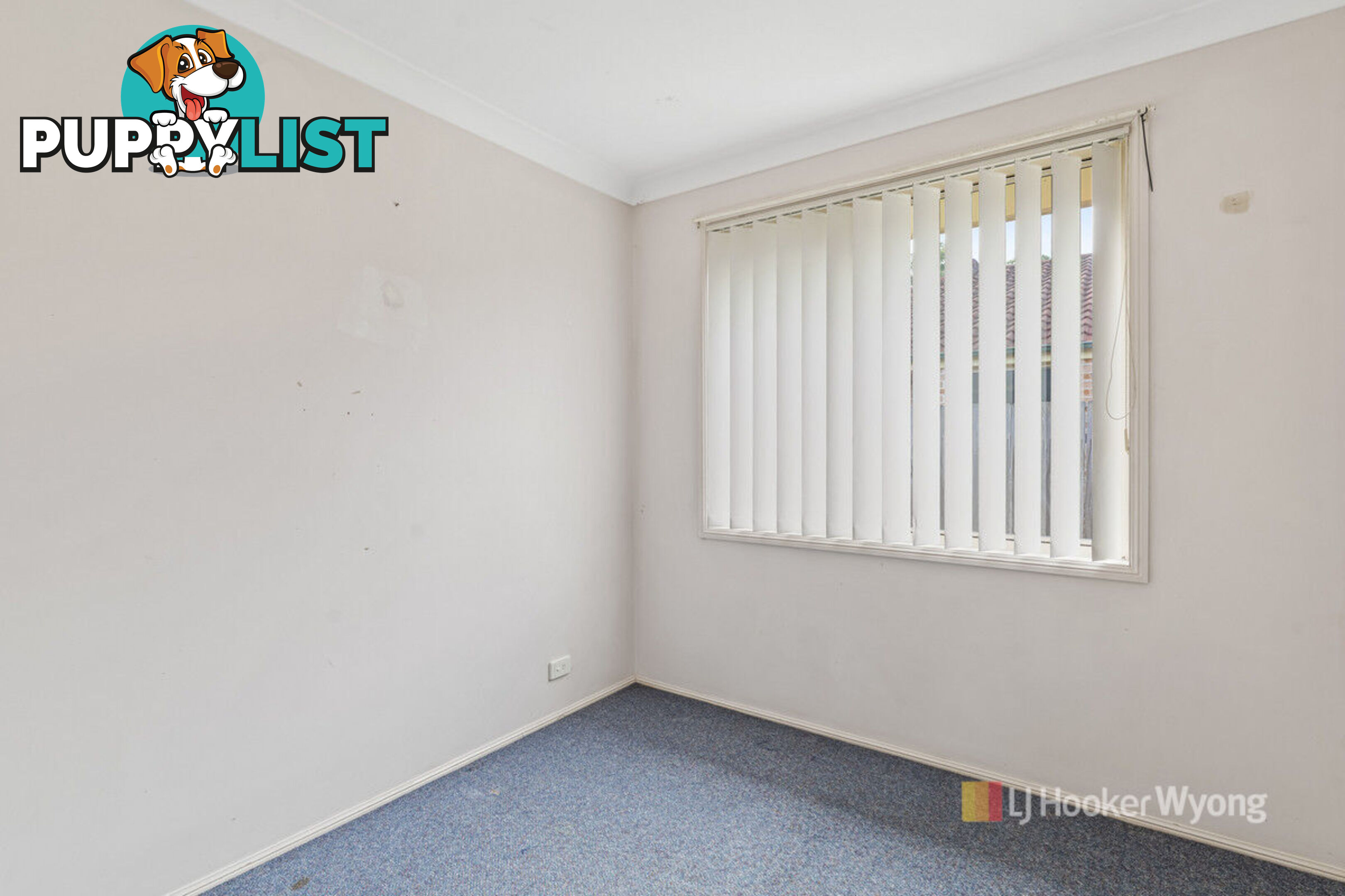 17 Ambrosius Court TUGGERAH NSW 2259