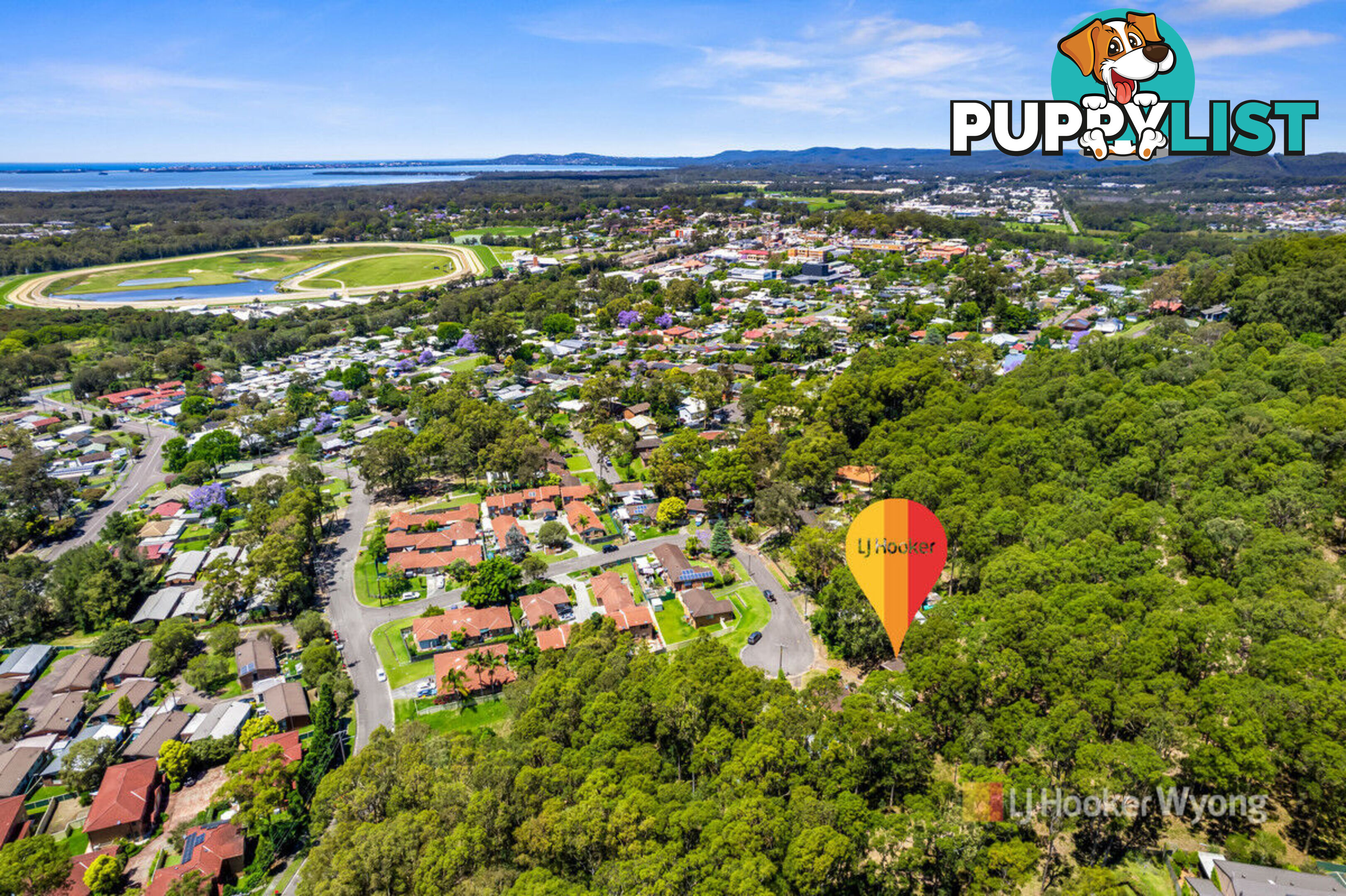 11 Cohen Street WYONG NSW 2259