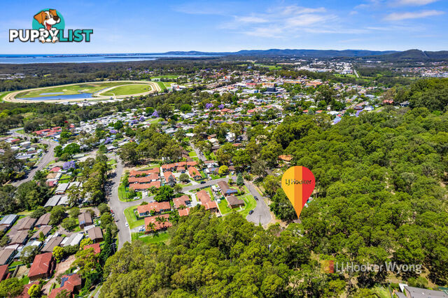 11 Cohen Street WYONG NSW 2259