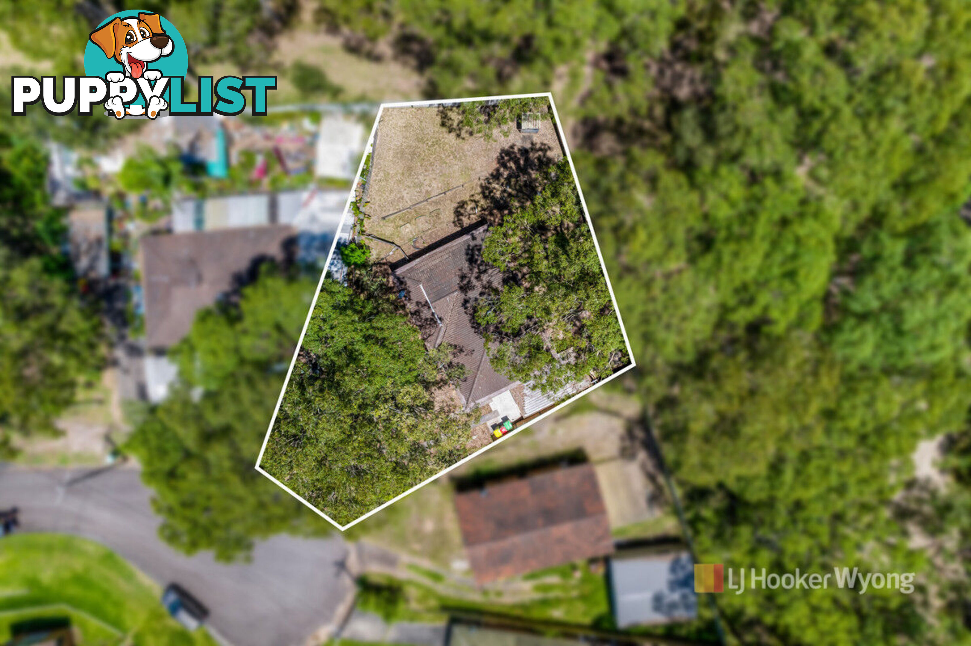 11 Cohen Street WYONG NSW 2259