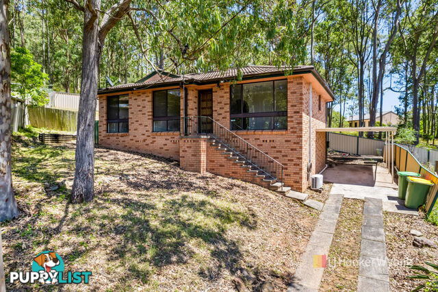 11 Cohen Street WYONG NSW 2259