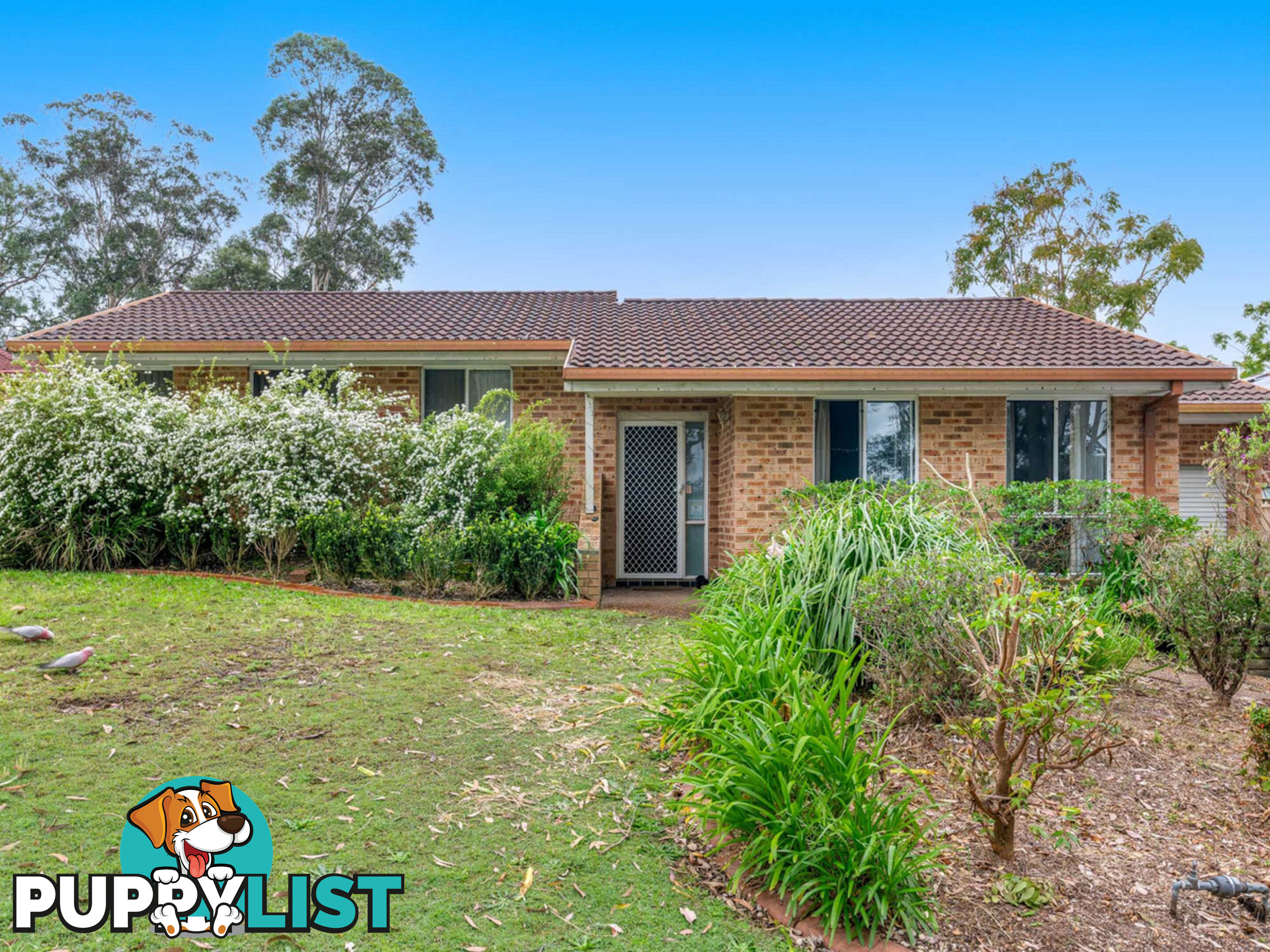 94 Woodbury Park Drive MARDI NSW 2259