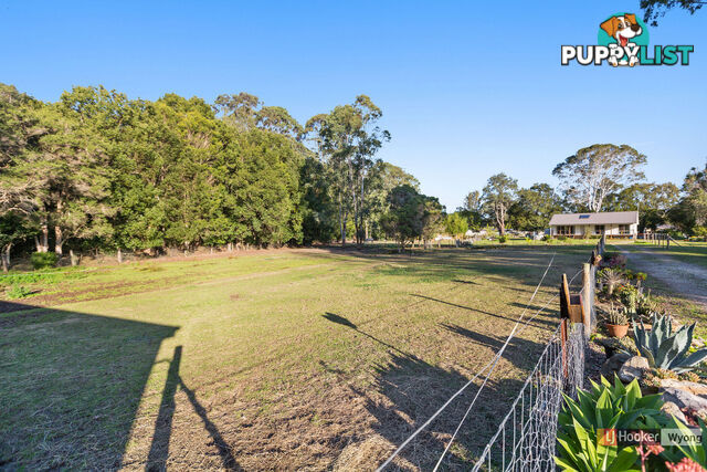 23A Pollock Avenue WYONG NSW 2259