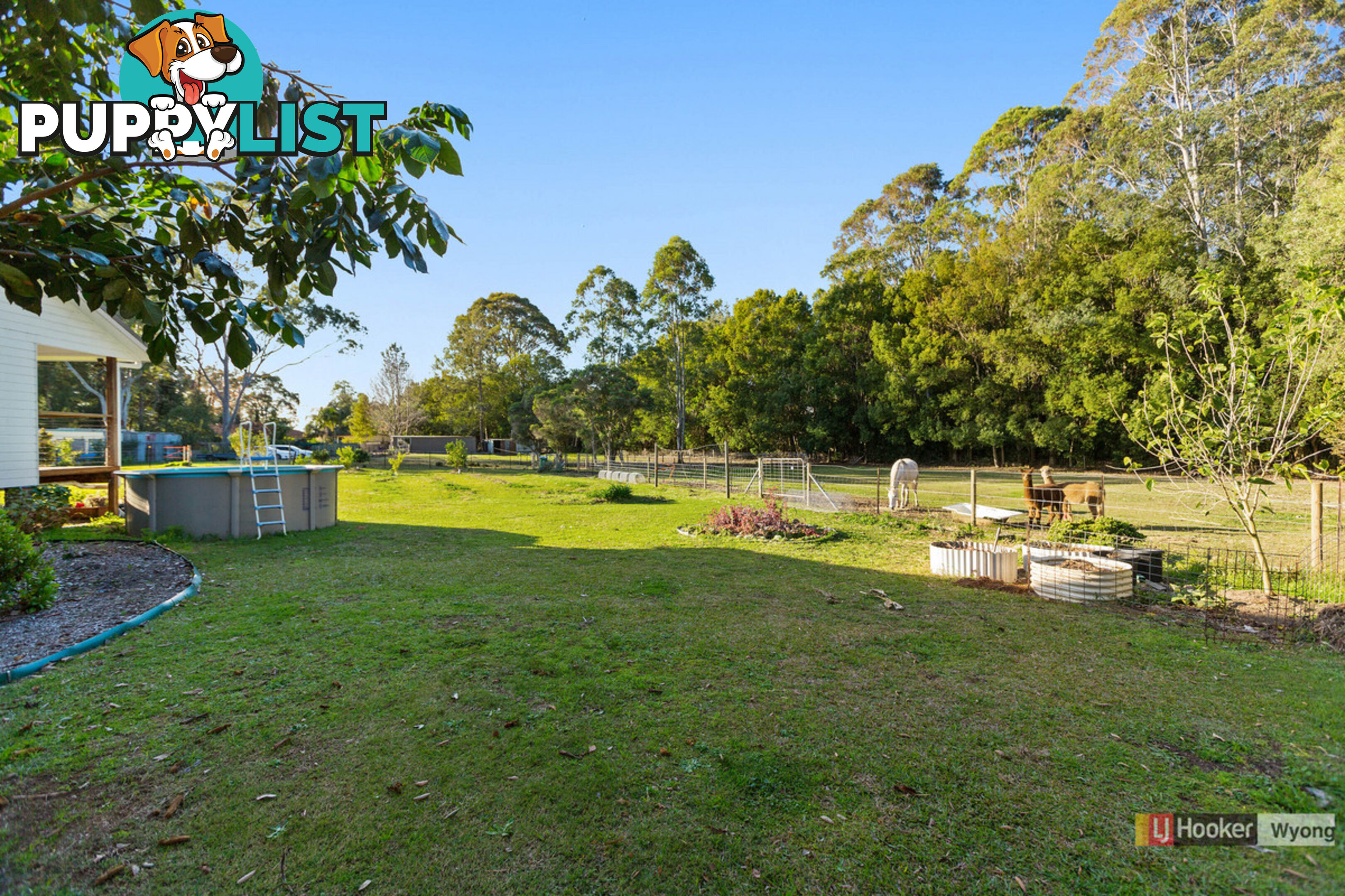 23A Pollock Avenue WYONG NSW 2259