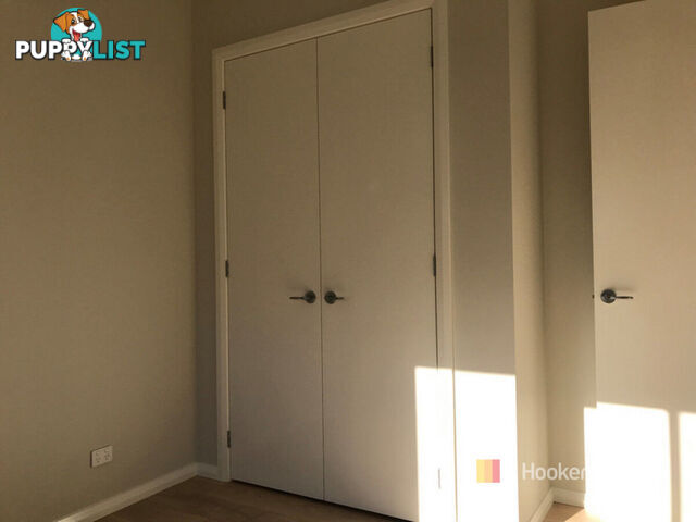 19 Gladioli Street HAMLYN TERRACE NSW 2259