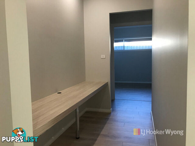 19 Gladioli Street HAMLYN TERRACE NSW 2259