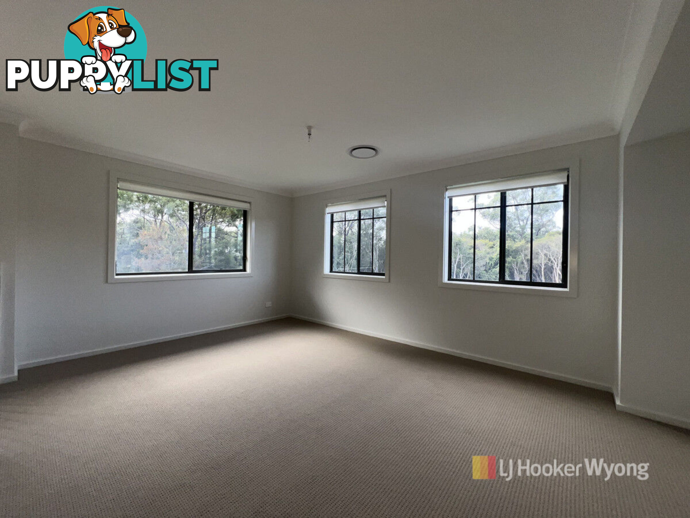 20 Galaxy Circuit WARNERVALE NSW 2259