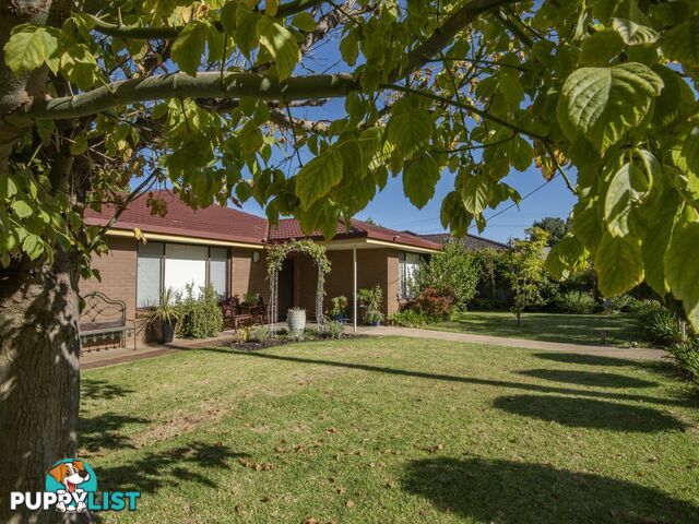 88 High Street SWAN HILL VIC 3585