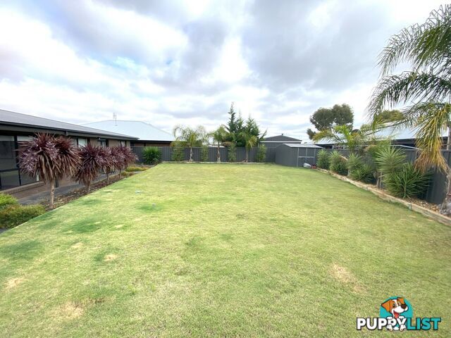 16 Sandalwood Avenue SWAN HILL VIC 3585