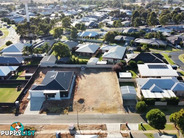 12 Hakea Street SWAN HILL VIC 3585