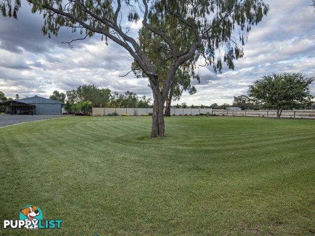 36 Bombardieri Lane SWAN HILL VIC 3585