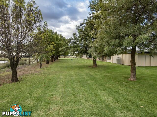 36 Bombardieri Lane SWAN HILL VIC 3585